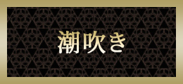 池袋 潮吹き【熟女の風俗最終章 池袋店